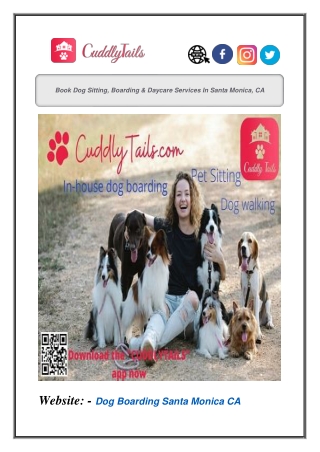 Book Dog Sitting, Boarding & Daycare Services In Santa Monica, CA