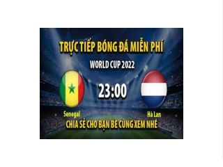 Truc tiep Senegal vs Ha Lan 22:59, ngay 21/11/2022