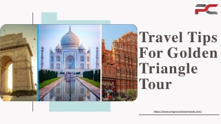 Travel Tips For Golden Triangle Tour