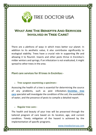 What Are The Benefits And Services Involved in Tree Care?