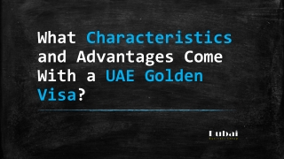 What Characteristics and Advantages Come With a UAE Golden Visa?