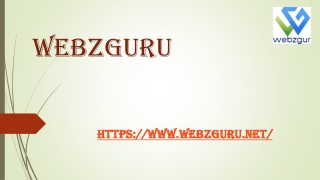 Webzguru Best Web Design Company