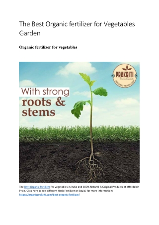 The Best Organic fertilizer for Vegetables Garden
