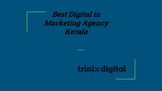 Best Digital Marketing Agency in Kerala
