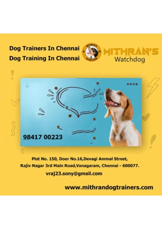 Dog Trainers In Chennai