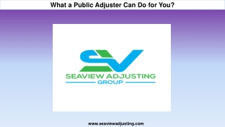 What a Public Adjuster Can Do for You