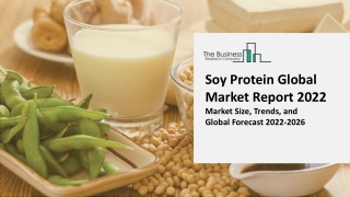Soy Protein Market
