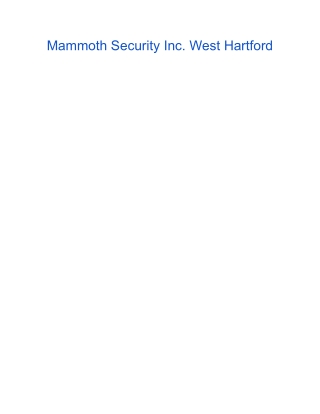 Mammoth Security Inc