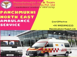 Inexpensive Ambulance Service in Guwahati by Panchmukhi North East