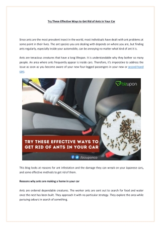 Try These Effective Ways to Get Rid of Ants in Your Car || Bizupon @  8190263890
