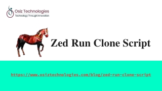 Zed Run Clone Script