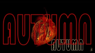 Autumn moods3