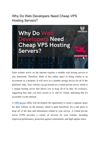 Why Do Web Developers Need Cheap VPS Servers?