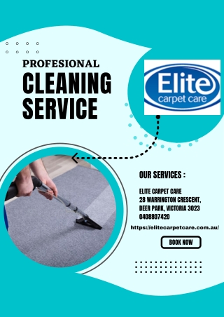 Carpet Steam Cleaning Sydenham