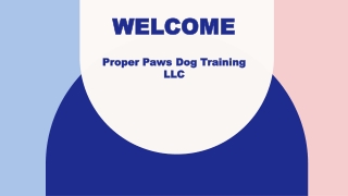 Best Private Dog Training in Westminster