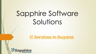 IT Services In Guyana