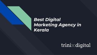 Best Digital Marketing Agency in Kerala