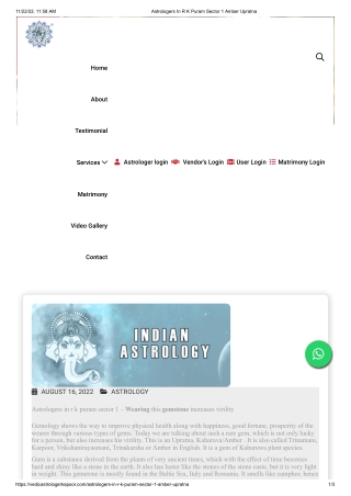 Astrologers In R K Puram Sector 1