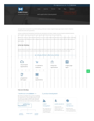 Web Application Development Company in Delhi