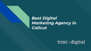 Best Digital Marketing Agency in Calicut