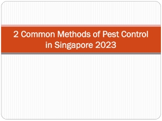 2 Common Methods of Pest Control in Singapore