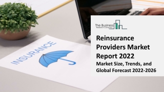 Reinsurane Providers Market: Industry Insights, Trends And Forecast To 2031