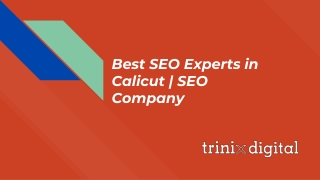 Best SEO Experts in Calicut | SEO Company