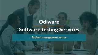 Project management scrum