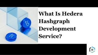 What Is Hedera Hashgraph Development Service?