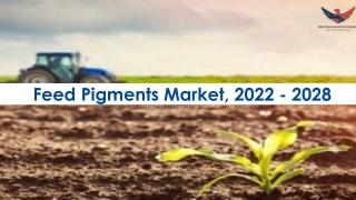 Feed Pigments Market Feed Pigments Market Size and forecast to 2028