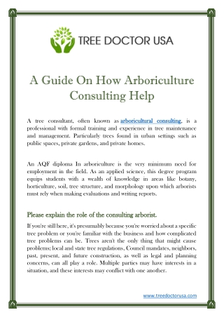 A Guide On How Arboriculture Consulting Help