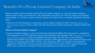 Benefits Of a Private Limited Company In India - Good Will Filings
