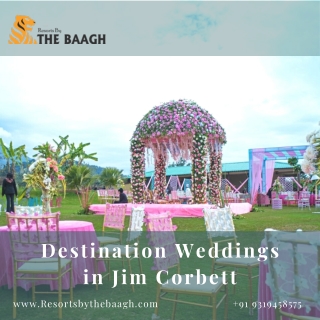 Luxury Destination wedding in jim corbett