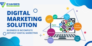 Best Digital Marketing Company in India