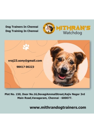 Dog Trainers In Chennai