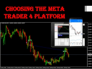  Choosing the Meta Trader 4 Platform
