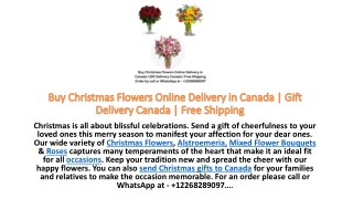 Same-Day Christmas Flowers Delivery in Canada | Gift Delivery Canada | Free Ship