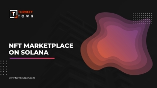 Launch your NFT marketplace on Solana to make speedy transactions