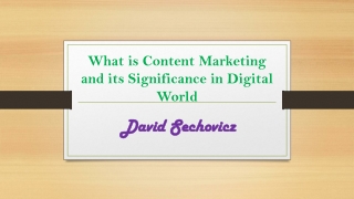 What is Content Marketing and its Significance in Digital World | David Sechovic