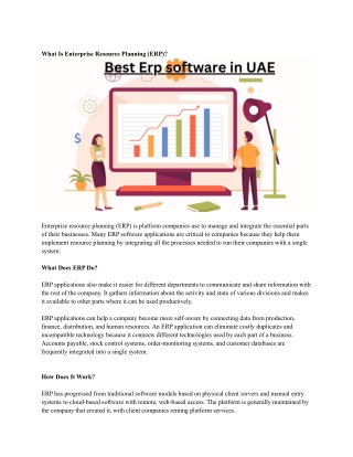 Best Erp software in UAE