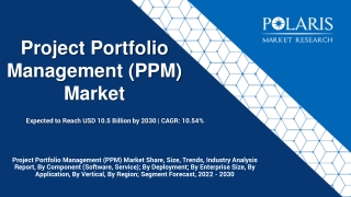 Project Portfolio Management (PPM) Market