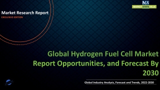 Hydrogen Fuel Cell Market Revenue Growth and Quantitative Analysis Till 2030