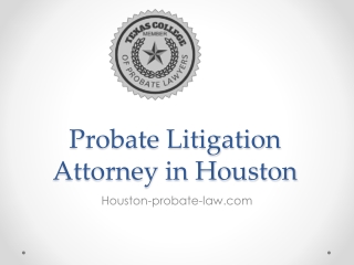 Probate Litigation Attorney in Houston