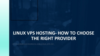 Budget Linux VPS hosting