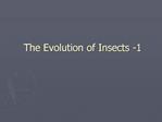 The Evolution of Insects -1