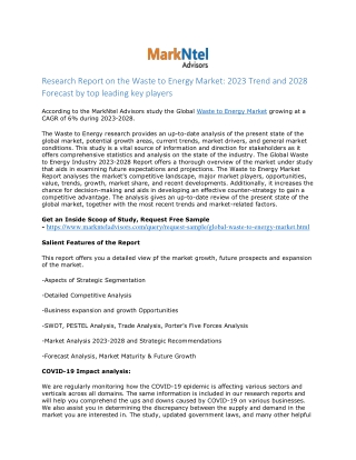 Global Waste to Energy Market Research Report: Forecast (2023-2028)