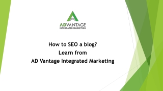 How to SEO a Blog? Top 10 FAQ’s & Tips from AD Vantage