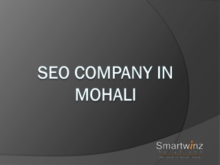 SEO Company in Mohali