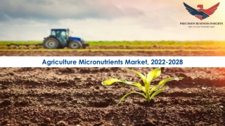 Agriculture Micronutrients Market Size, Scope 2022-2028