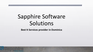 Best It Services provider in Dominica